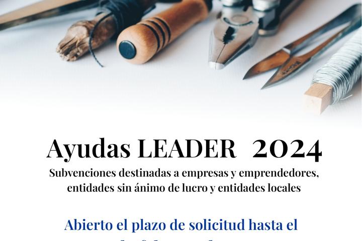 ayudas leader 2024