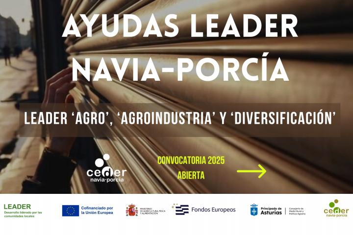 ayudas